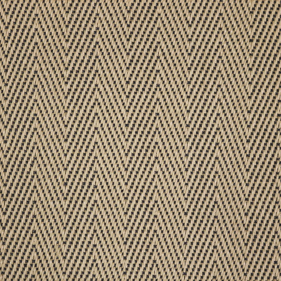 Safari