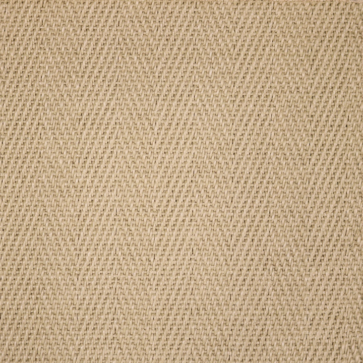 Safari