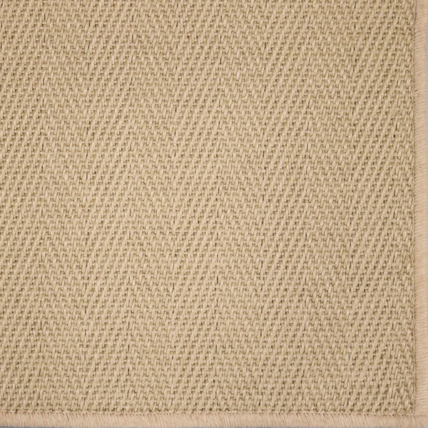 Safari