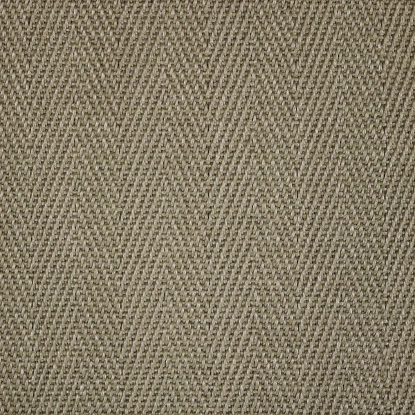 Safari