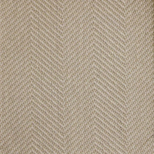 Celio