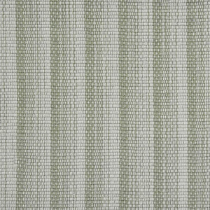 Radiant Stripe