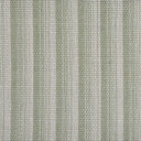 Radiant Stripe