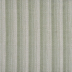 Radiant Stripe
