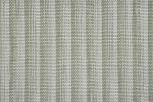 Radiant Stripe