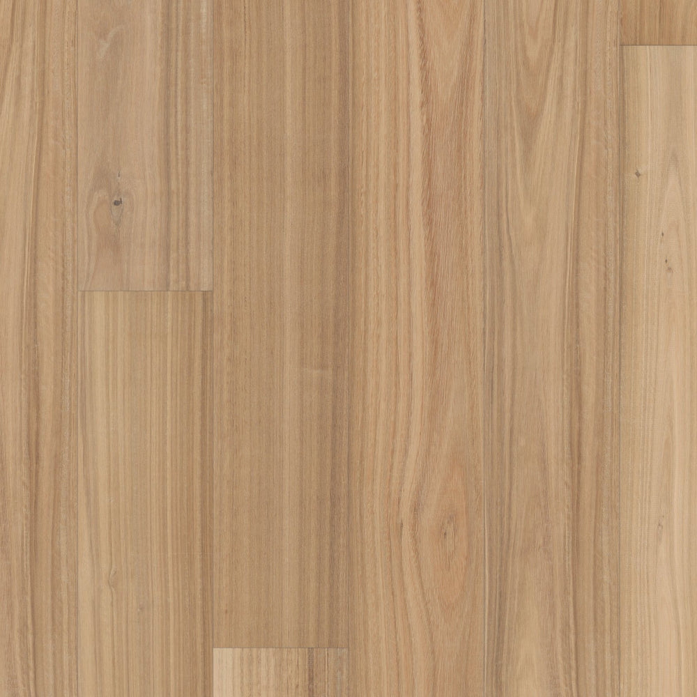 Valencia Walnut