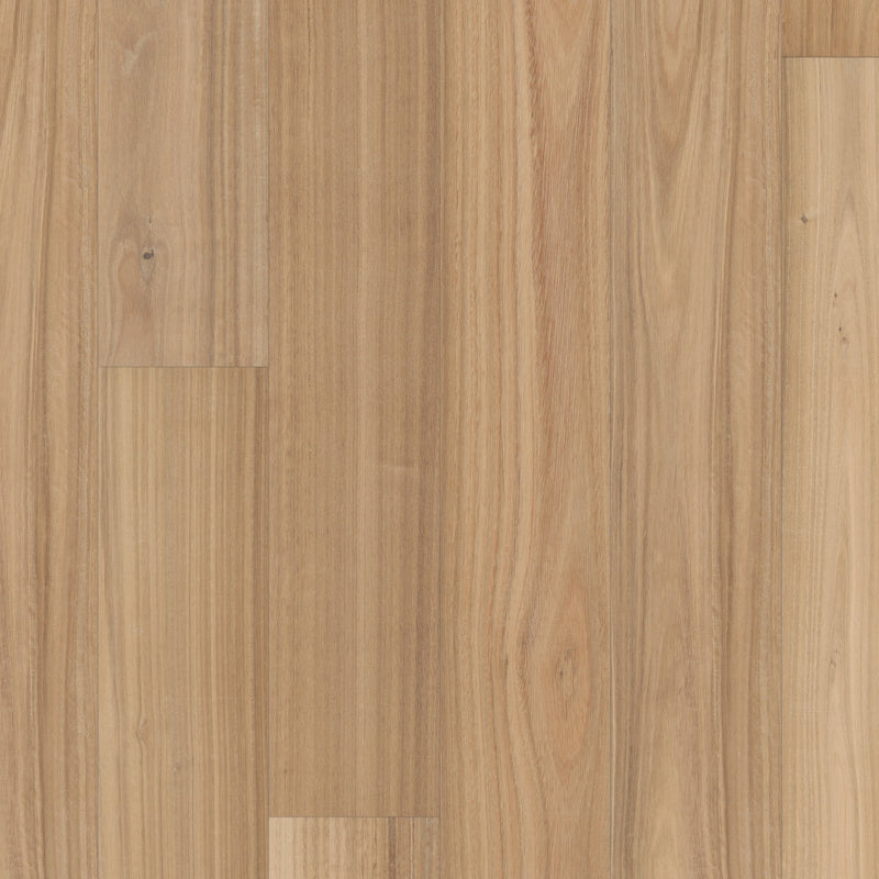Valencia Walnut