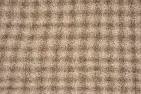 Sahara