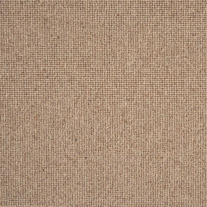 Sahara