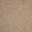 Sahara