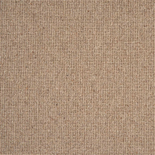 Sahara