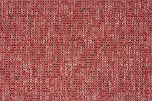 Samba