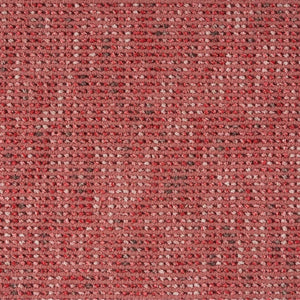 Samba