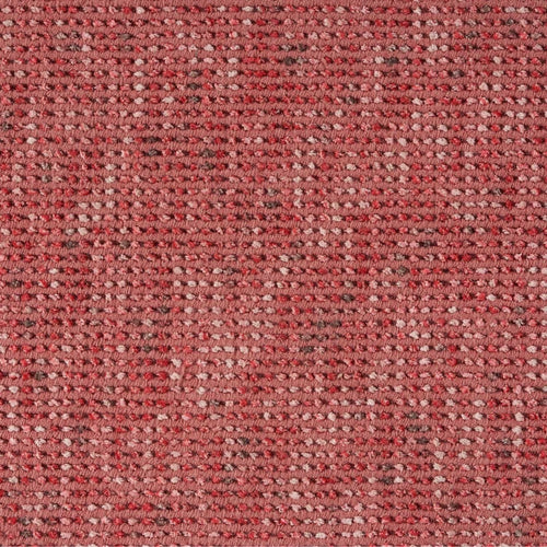 Samba