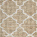 Lattice