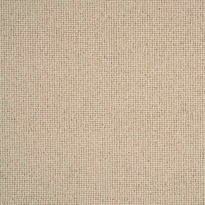 Sahara