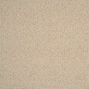 Sahara