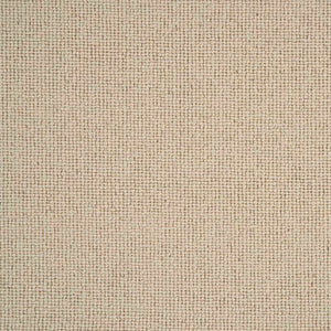 Sahara