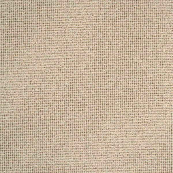 Sahara