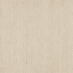 Splendor Stria