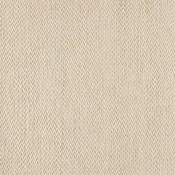 Splendor Stria