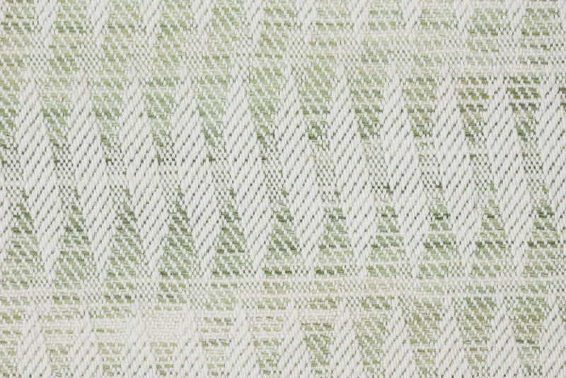 Fern
