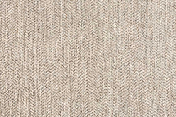 Splendor Stria