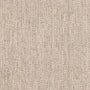 Splendor Stria