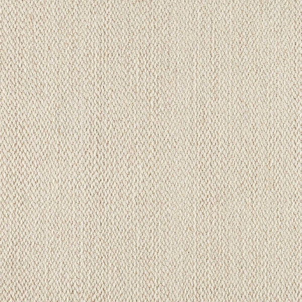 Splendor Stria