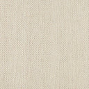 Splendor Stria
