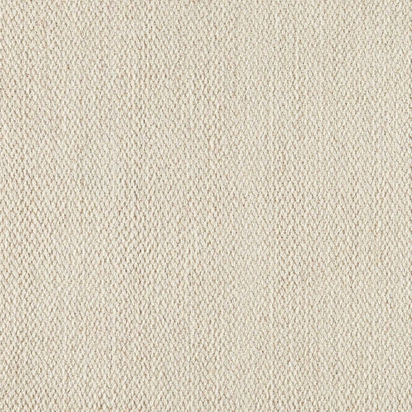 Splendor Stria