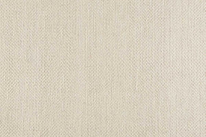 Splendor Stria