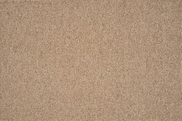 Sahara