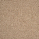 Sahara