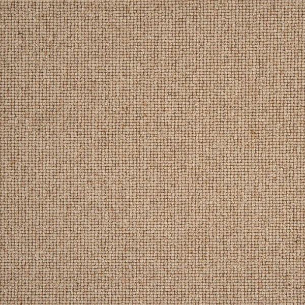 Sahara