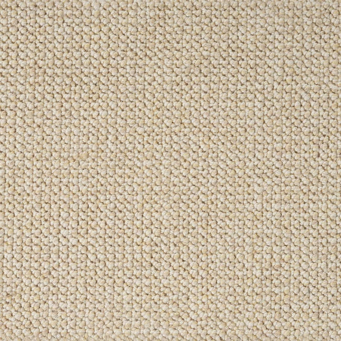 Maize