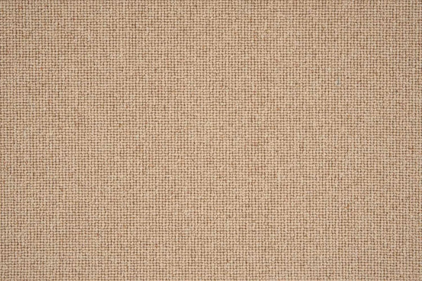 Sahara