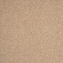 Sahara