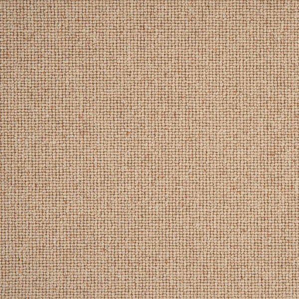 Sahara