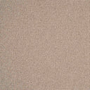 Sahara