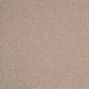 Sahara