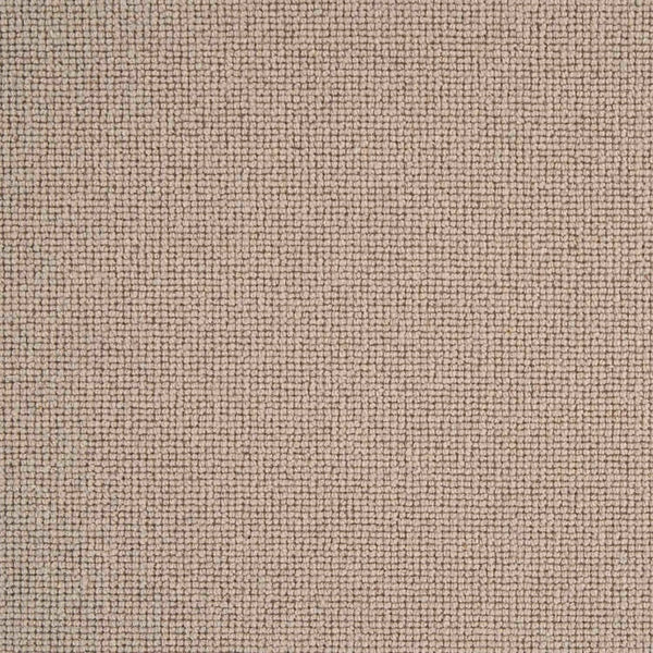 Sahara