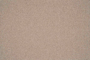 Sahara