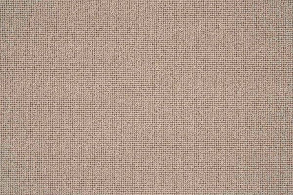 Sahara