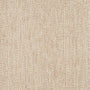 Splendor Stria