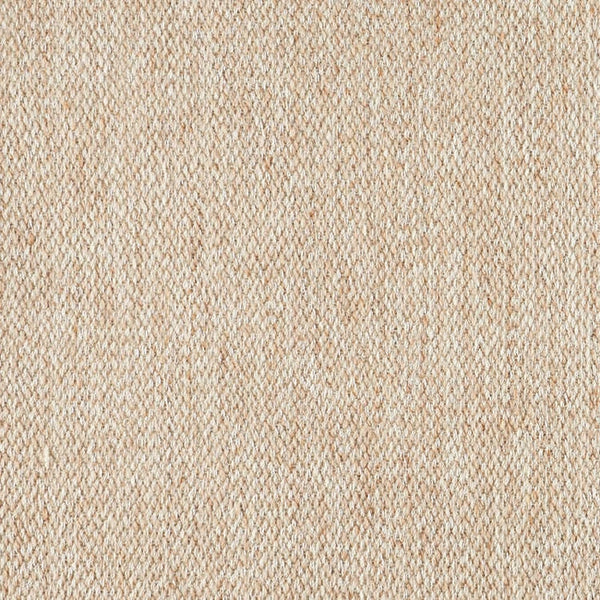 Splendor Stria
