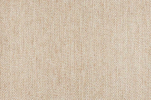 Splendor Stria