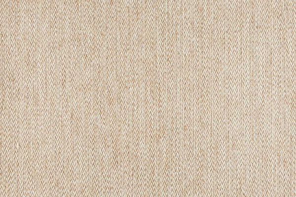 Splendor Stria