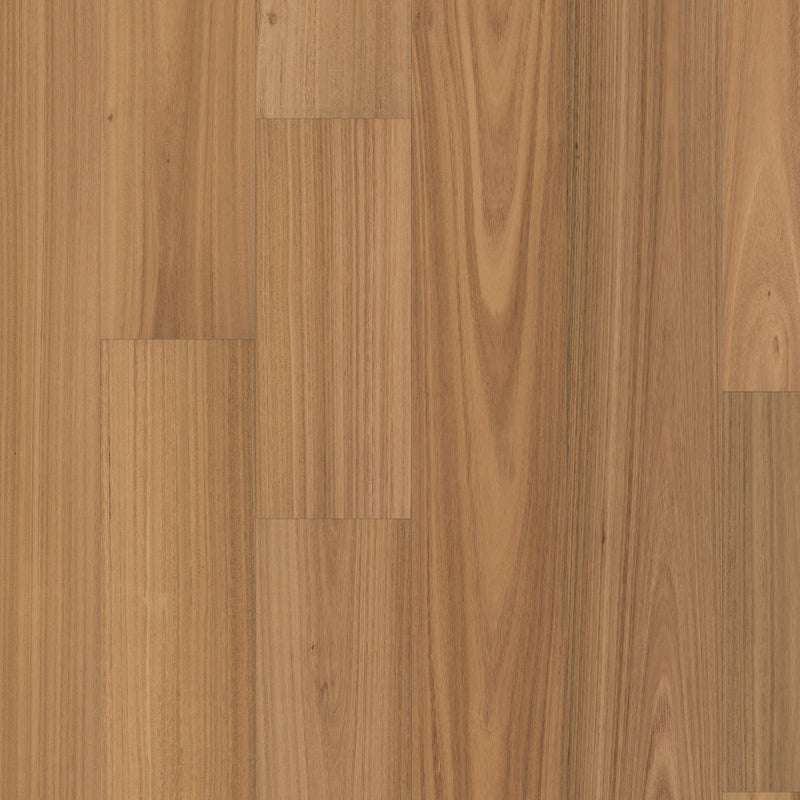 Valencia Walnut