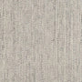 Splendor Stria